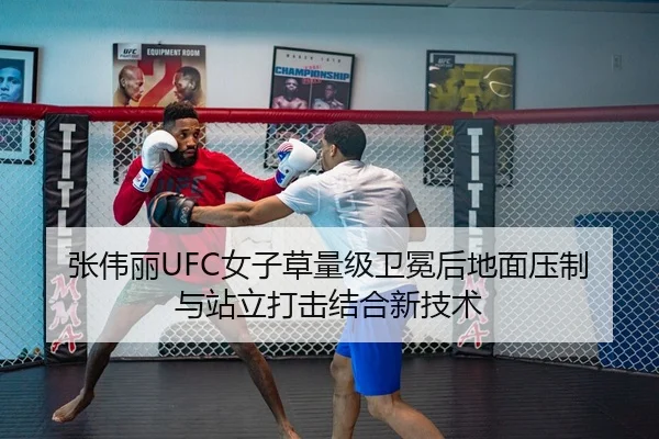 张伟丽UFC女子草量级卫冕后地面压制与站立打击结合新技术（hth）