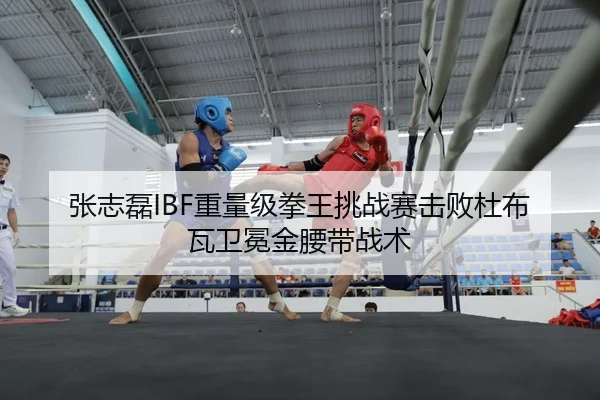 张志磊IBF重量级拳王挑战赛击败杜布瓦卫冕金腰带战术 | hth
